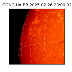 gong - 2025-02-26T23:00:02