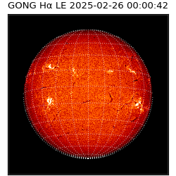 gong - 2025-02-26T00:00:42