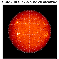 gong - 2025-02-26T06:00:02