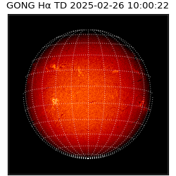 gong - 2025-02-26T10:00:22