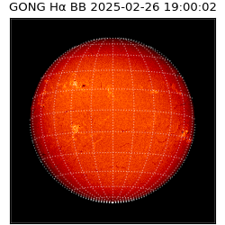 gong - 2025-02-26T19:00:02