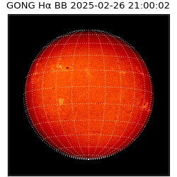gong - 2025-02-26T21:00:02