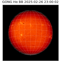 gong - 2025-02-26T23:00:02