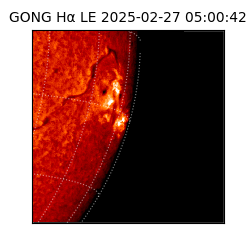 gong - 2025-02-27T05:00:42