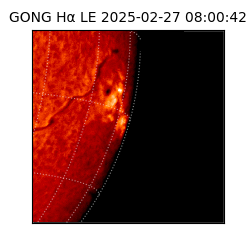 gong - 2025-02-27T08:00:42