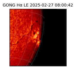gong - 2025-02-27T08:00:42