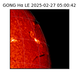 gong - 2025-02-27T05:00:42
