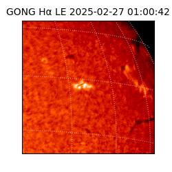 gong - 2025-02-27T01:00:42