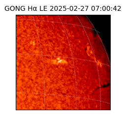 gong - 2025-02-27T07:00:42