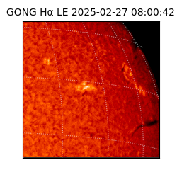 gong - 2025-02-27T08:00:42