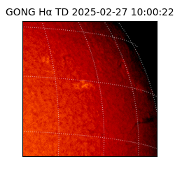 gong - 2025-02-27T10:00:22