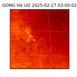 gong - 2025-02-27T03:00:02