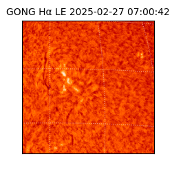 gong - 2025-02-27T07:00:42