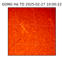 gong - 2025-02-27T10:00:22