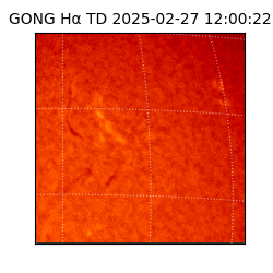 gong - 2025-02-27T12:00:22
