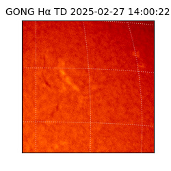 gong - 2025-02-27T14:00:22