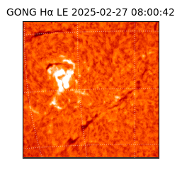 gong - 2025-02-27T08:00:42