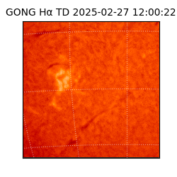 gong - 2025-02-27T12:00:22