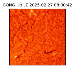 gong - 2025-02-27T08:00:42