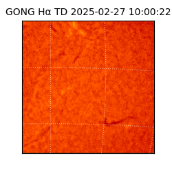 gong - 2025-02-27T10:00:22