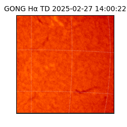 gong - 2025-02-27T14:00:22