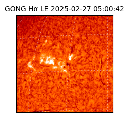 gong - 2025-02-27T05:00:42