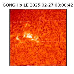 gong - 2025-02-27T08:00:42