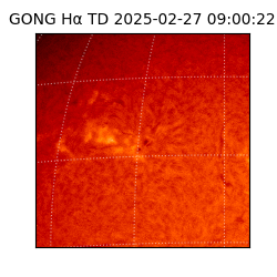 gong - 2025-02-27T09:00:22