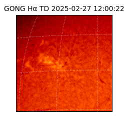 gong - 2025-02-27T12:00:22