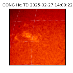 gong - 2025-02-27T14:00:22