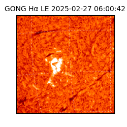 gong - 2025-02-27T06:00:42