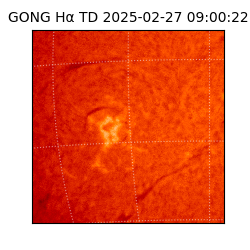 gong - 2025-02-27T09:00:22