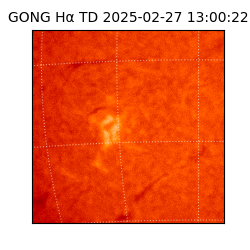 gong - 2025-02-27T13:00:22