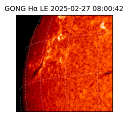 gong - 2025-02-27T08:00:42