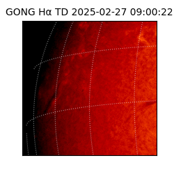 gong - 2025-02-27T09:00:22