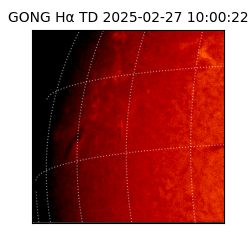 gong - 2025-02-27T10:00:22