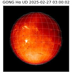 gong - 2025-02-27T03:00:02