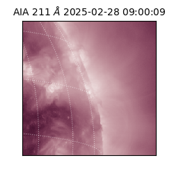 saia - 2025-02-28T09:00:09.630000