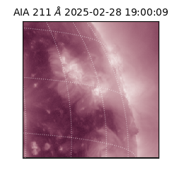 saia - 2025-02-28T19:00:09.626000