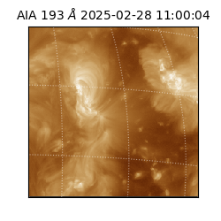 saia - 2025-02-28T11:00:04.843000
