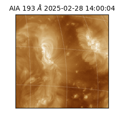 saia - 2025-02-28T14:00:04.843000
