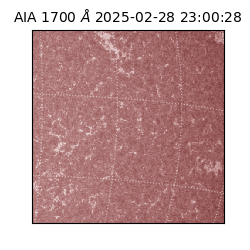 saia - 2025-02-28T23:00:28.717000