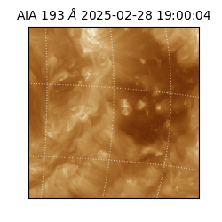 saia - 2025-02-28T19:00:04.843000