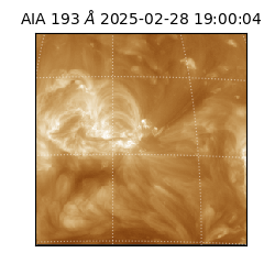 saia - 2025-02-28T19:00:04.843000