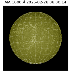 saia - 2025-02-28T08:00:14.125000