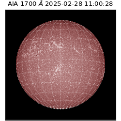 saia - 2025-02-28T11:00:28.721000