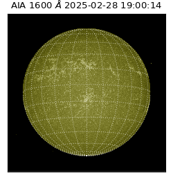 saia - 2025-02-28T19:00:14.125000