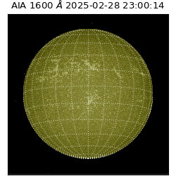 saia - 2025-02-28T23:00:14.126000