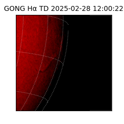 gong - 2025-02-28T12:00:22