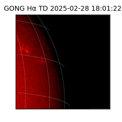 gong - 2025-02-28T18:01:22